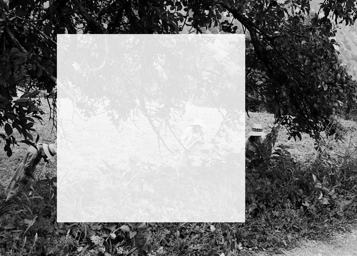Série Textes, Bourgogne, France,  2004, photographie Jean pierre Morcrette