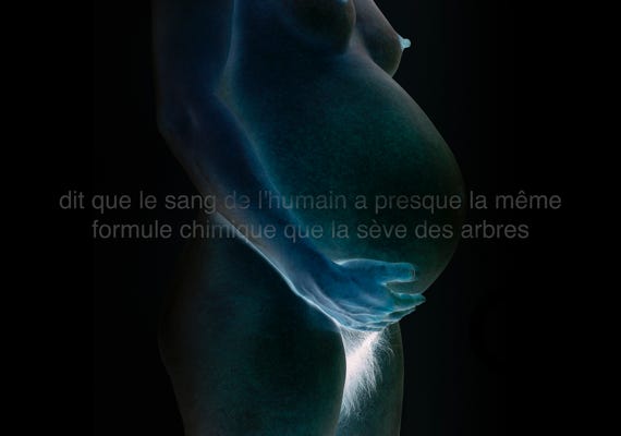 Série métaphysiquée, photographies Jean pierre Morcrette