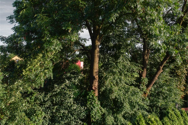 Vue de la fenêtre, Kolbuszowa, Basses-Carpates, Pologne 2016, photographie Jean pierre Morcrette
