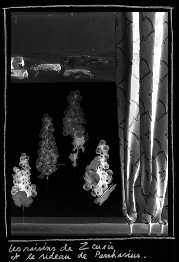 Série mytheuse n° 1, Les raisins de Zeuxis et le rideau de Parrhasius, photographie Jean pierre Morcrette
