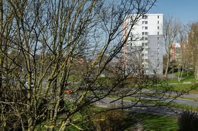 Vue de la fenêtre, Wattignies, Nord, Hauts-de-France, 2026