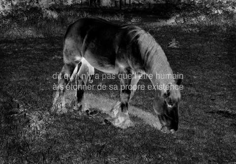 Série métaphysiquée, dit qu’il n’y aurait que l’être humain à s’étonner de sa propre existence ?, photographie Jean pierre Morcrette