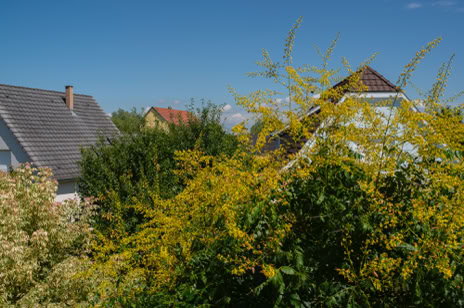 Vue de la fenêtre, La Wantzenau, Bas-Rhin, Grand Est, France, 2017
