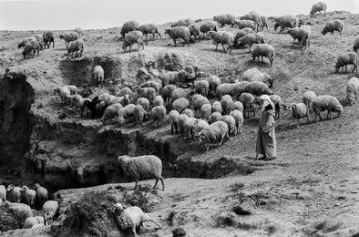 El Bayadh (2), Algérie, 1971, photographie Jean pierre Morcrette