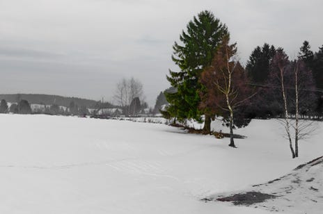Vue de la fenêtre, Vosges, Grand Est, France, 2010, Jean pierre Morcrette
