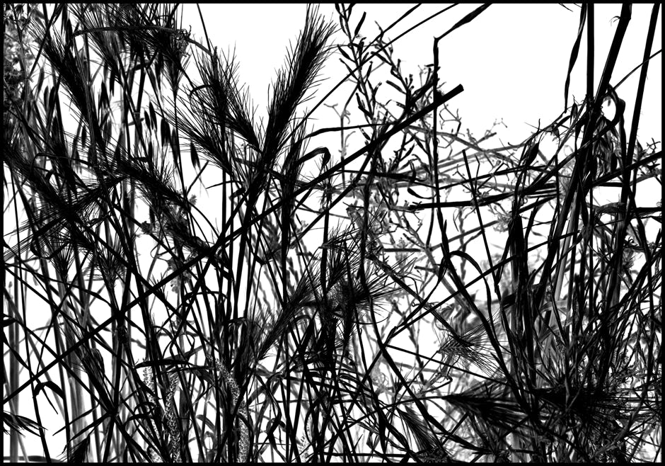 Série d'après nature, Jean pierre Morcrette