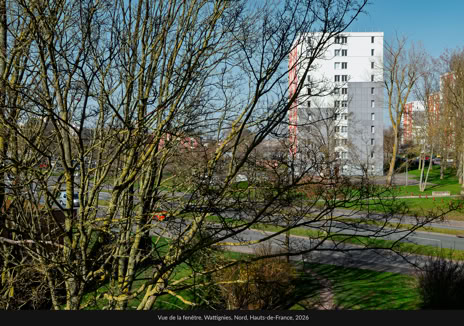 Vue de la fenêtre, Wattignies, Nord, Hauts-de-France, 2026