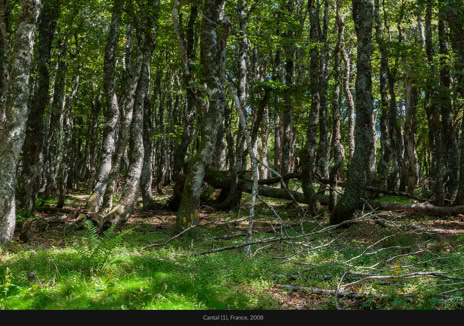 Paysages, Cantal, France, 2008, photographie Jean pierre Morcrette