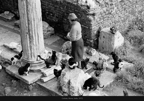 Instantané, Jean pierre Morcrette, Colisée, Rome, Italie, 1972