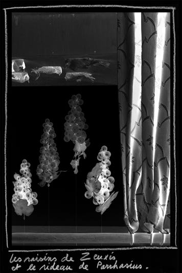 Les raisins de Zeuxis et le rideau de Parrhasius