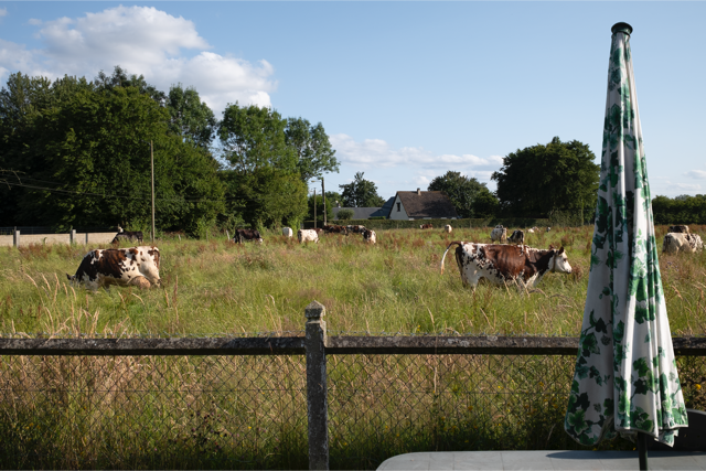 Vue de la fenêtre, La Haye-de-Routot, Eure, Normandie, France, 2024, photographie Jean pierre Morcrette