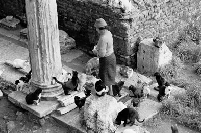 Instantané, Jean pierre Morcrette, Colisée, Rome, Italie, 1972