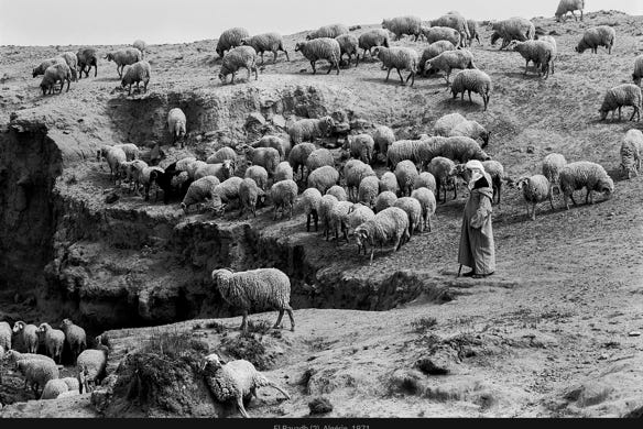 Instantané, El Bayadh (2), Algérie, 1971, photographie Jean pierre Morcrette