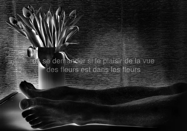 Série métaphysiquée - dit se demander si le plaisir de la vue des fleurs est dans les fleurs, photographie de Jean pierre Morcrette. Photo en négatif noir et blanc montrant à gauche un vase de tulipes derrière deux jambes allongées. Deux lignes de texte sont visibles en surimpression au centre de l’image : dit se demander si le plaisir de la vue des fleurs est dans les fleurs