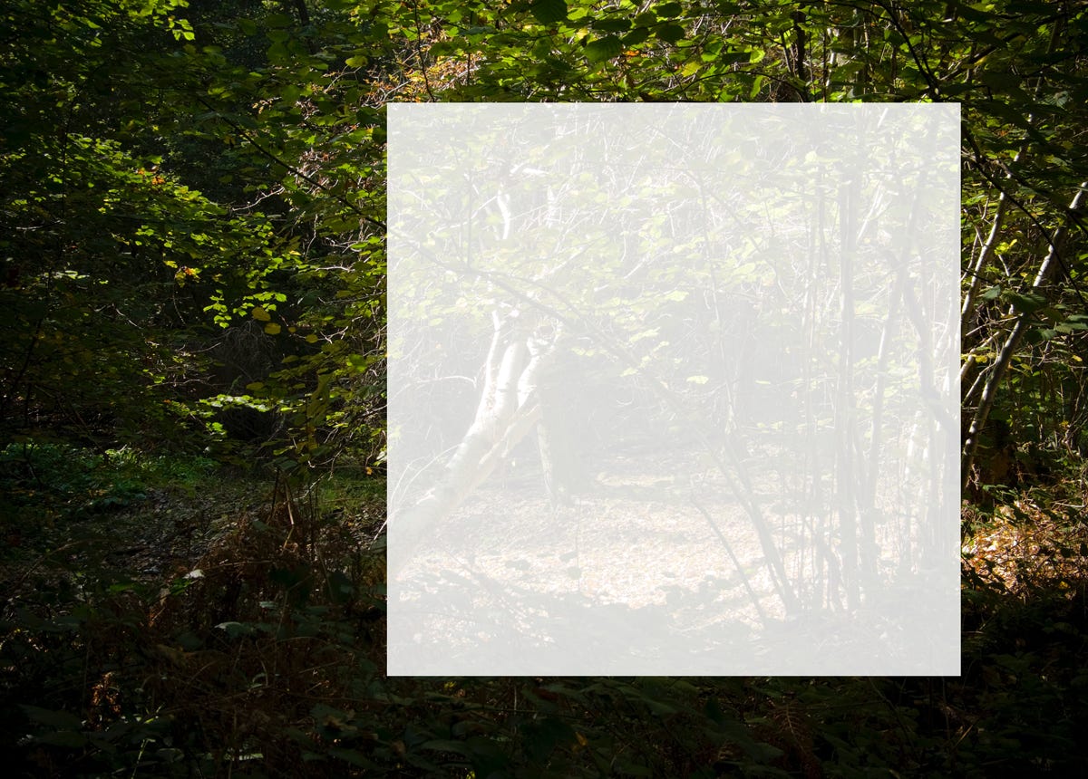 Série Textes, France,  2007, photographie Jean pierre Morcrette