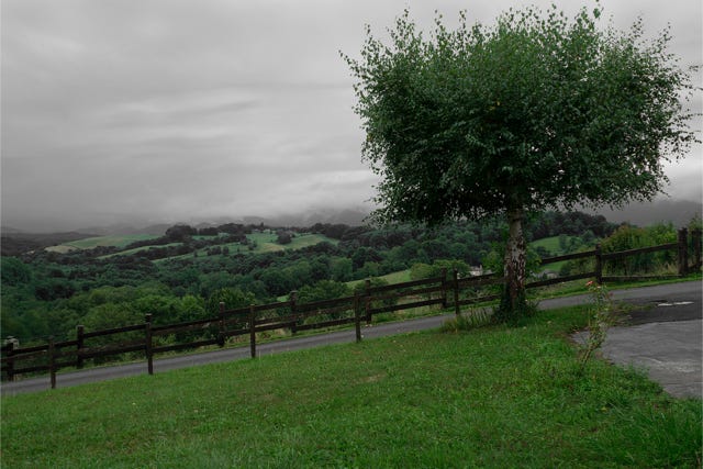 Vue de la fenêtre, Oloron-Sainte-Marie, Pyrénées-Atlantiques, Nouvelle-Aquitaine, France, 2013, photographie Jean pierre Morcrette